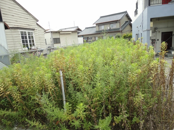 守山区白沢町 愛知県名古屋市守山区白沢町 1 700万円の土地 売地や分譲地情報 センチュリー21興和ホーム