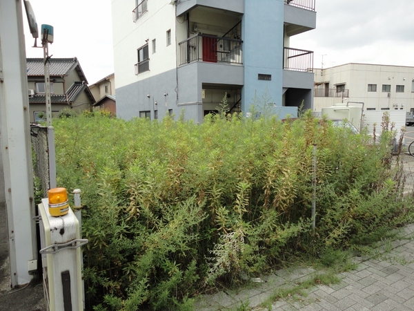 守山区白沢町 愛知県名古屋市守山区白沢町 1 700万円の土地 売地や分譲地情報 センチュリー21興和ホーム