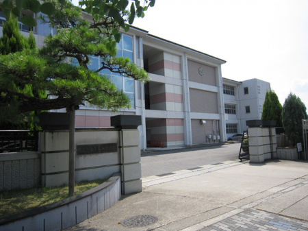 ���ӊ��@-