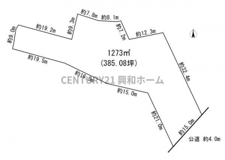 Ԏ}@yiz586~ynʐρF1273[gi385.08؁jؒPF1.5~prnFwZpn恜nځFRс؂F50eϗF80FXn