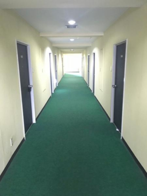 �o���R�j�[�@���ꂢ�ɊǗ�����Ă���L���I