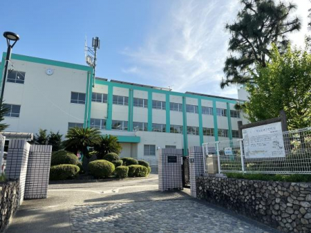 ���ӊ��@-