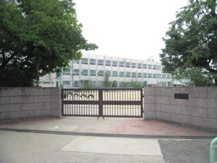 ���ӊ��@-