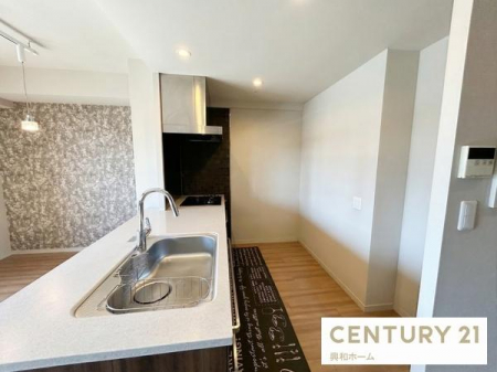 �L�b�`���@���B�e�󋵂���H�ɂ��A���ۂ̐F���ƈقȂ�ꍇ������܂�