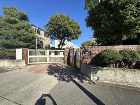 ���ӊ��@-