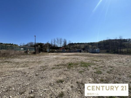 ���n�y�n�ʐ^�@-