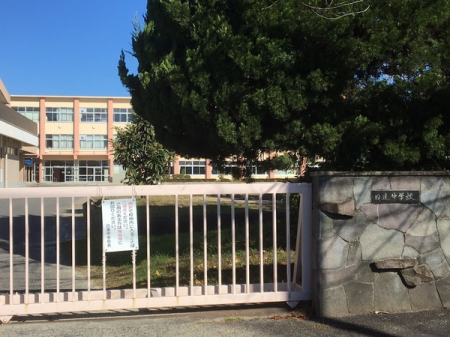 ���ӊ��@-