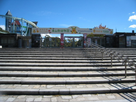 ���ӊ��@-