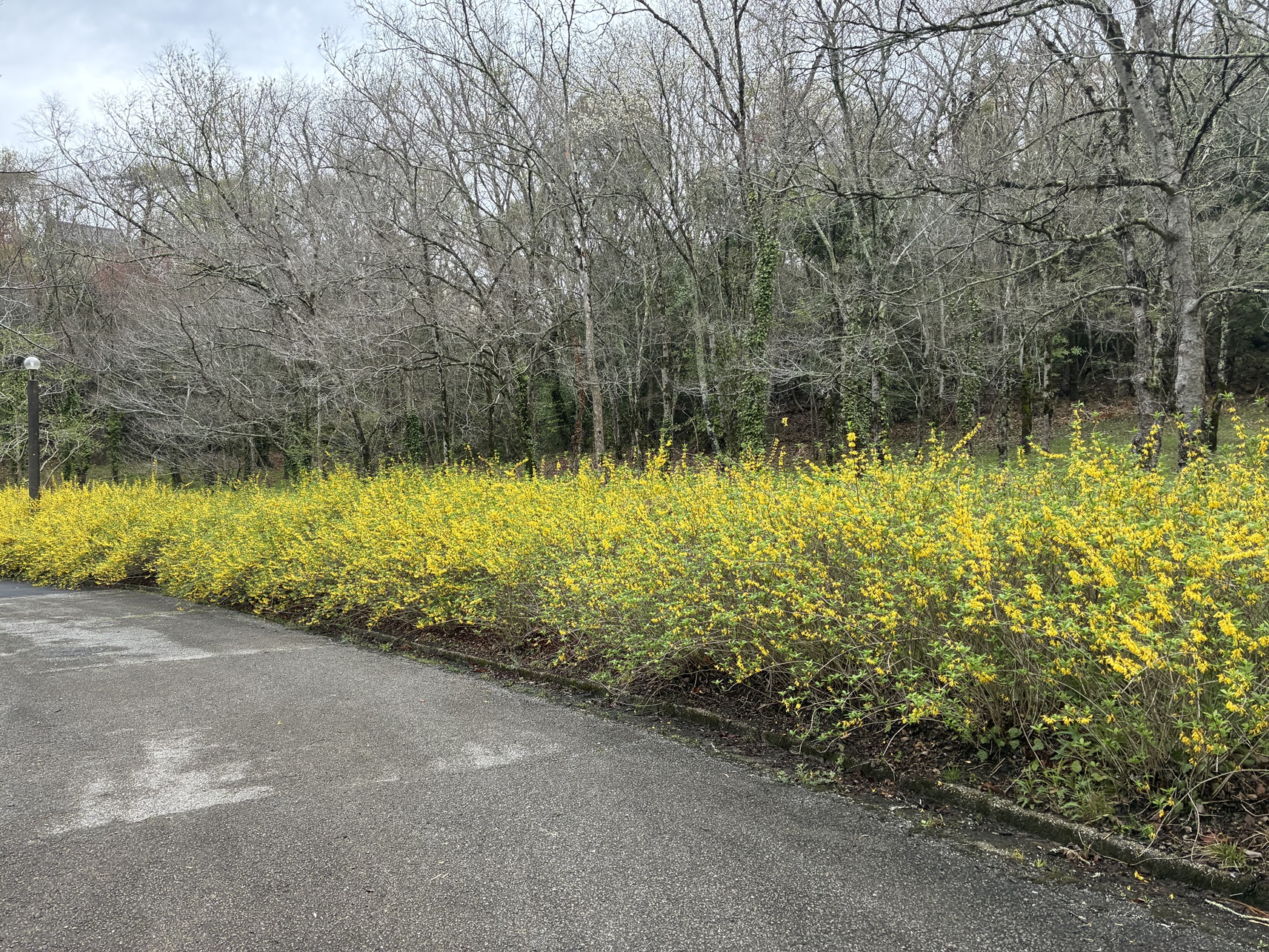 愛知県緑化センター